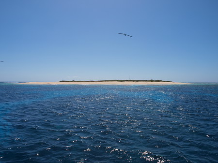 Willis Island - Mid Islet